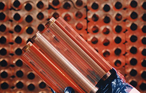 威客电竞·(中国区)VKGAME官网